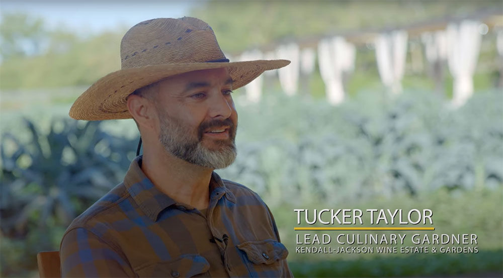 Tucker 'Farmer T' Taylor, Kendall-Jackson Culinary Gardener