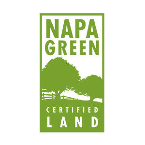 NAPA Green Logo