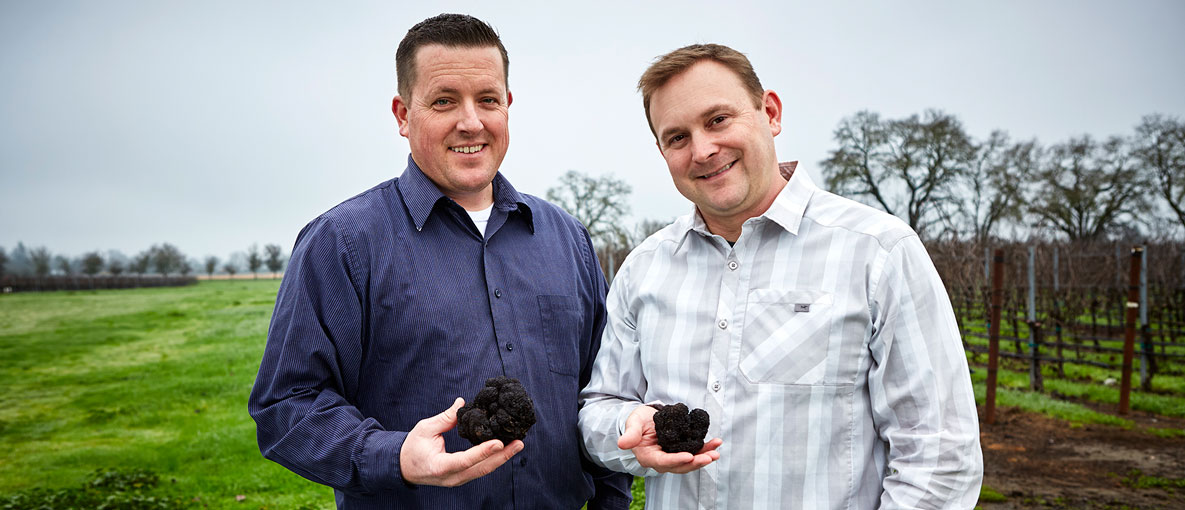 That's right. Truffles have arrived in Sonoma County, California. Learn more about the Kendall-Jackson Truffle Harvest as well as everything you need to know about truffles and wine.